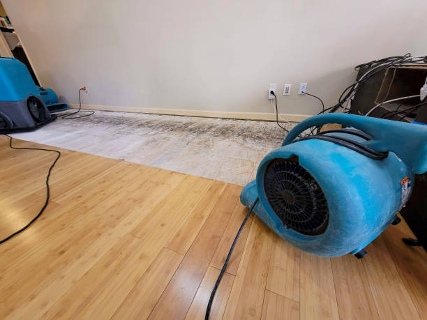 Professional Sewage Cleanup technician working in Matheson, CO